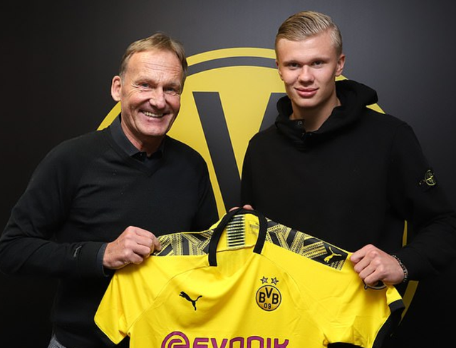 對整體敘事 對整體敘事